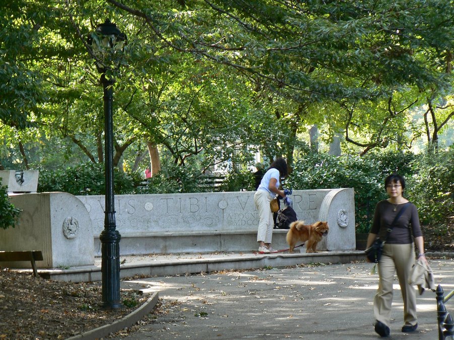 Central Park: Central Park 178